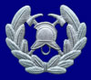 Sheffield Police FB Badge
